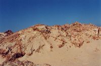 little_rocks_at_natures_valley